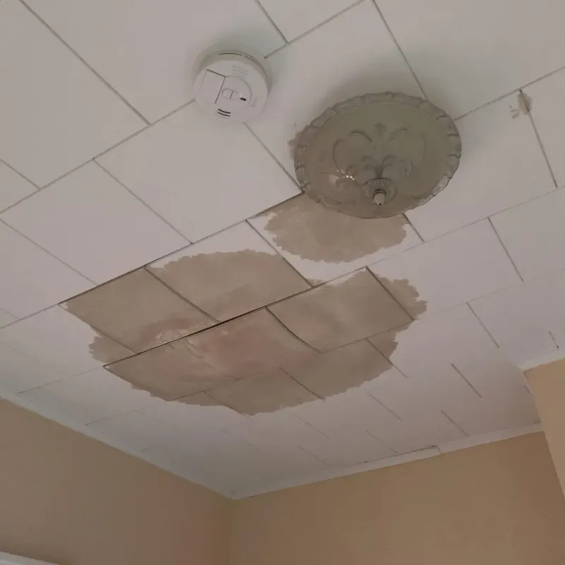 Ceiling Water Damage Repair in Highland, KS