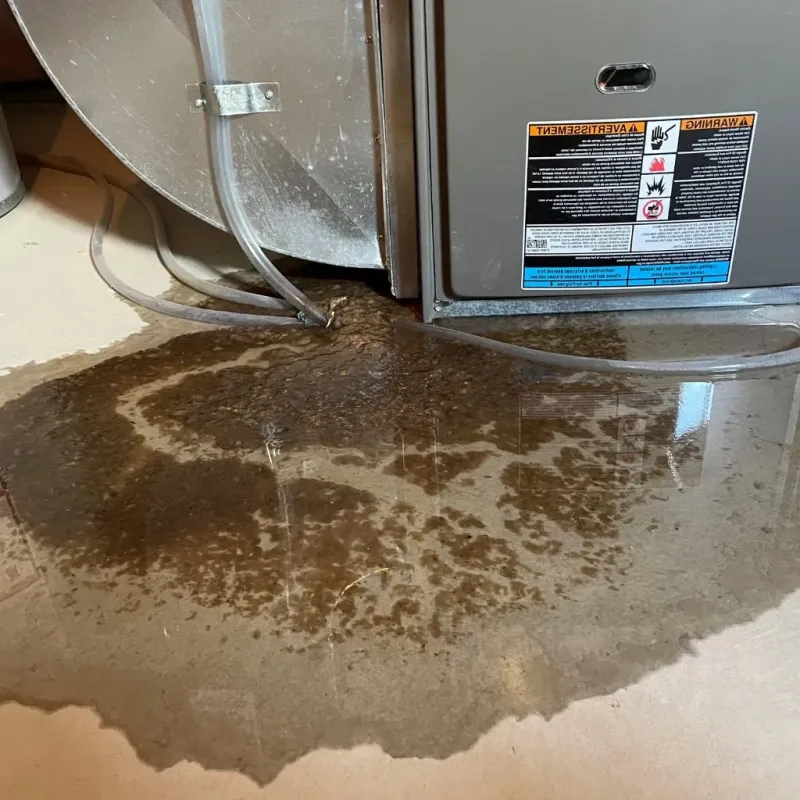 Pipe Burst and Leak Restoration in Highland, KS