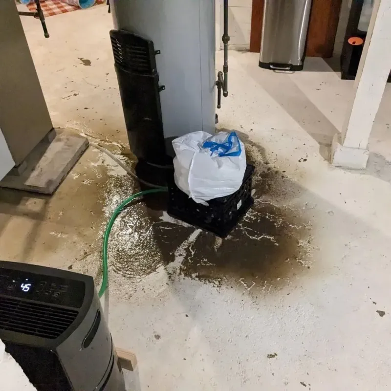Sewage Backup Cleanup Service in Highland, KS